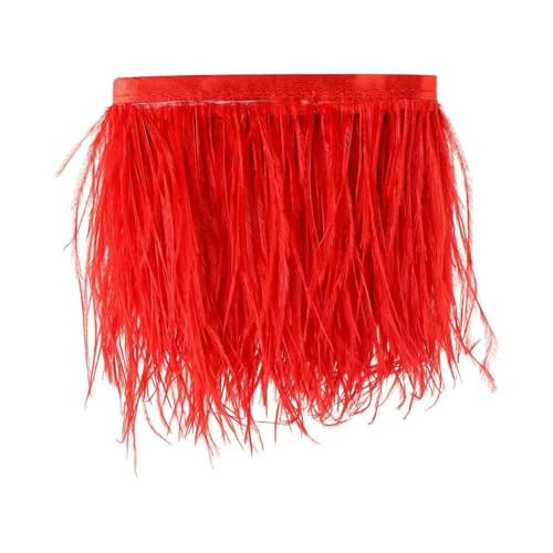 1 Meter Straußenfederbesatz, 8–10 cm, Federband, Webkante für DIY-Hochzeitskleid, Dekoration, Bastelzubehör, rot 1 Meter Straußenfederbesatz, 8–10 cm, Federband, Webkante für DIY-Hochzeitskleid, Dekoration, Bastelzubehör, rot von HFNCE