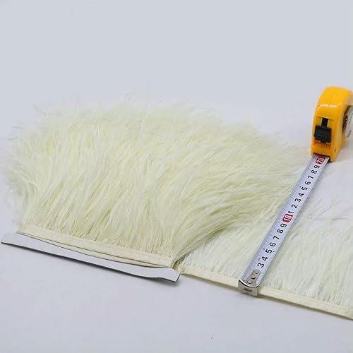 1 Meter farbige natürliche Straußenfedern, Fransenbesatz, 8–10 cm, 10–15 cm, Band, Haarfeder für Kleidung, Hochzeitsdekor, Nähbesatz, 018, Beige, 15–18 cm 1 Meter farbige natürliche Straußenfedern, Fransenbesatz, 8–10 cm, 10–15 cm, Band, Haarfeder für Kleidung, Hochzeitsdekor, Nähbesatz, 018, Beige, 15–18 cm von HFNCE