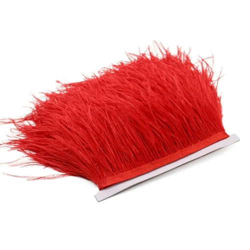 1 Meter flauschiges Straußenfeder-Besatzband, 8–10 cm, natürliche Feder für Handarbeiten, Federdekoration, Hochzeitskleid, Nähen, Basteln, rot, 1 m von HFNCE