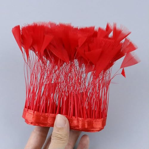 1 Meter mehrfarbiger Truthahnfederbesatz zum Basteln, Höhe 10 cm, Gefieder, Fransenbesatz, Rock, Hochzeitskleid, Dekoration, Rot 1 Meter mehrfarbiger Truthahnfederbesatz zum Basteln, Höhe 10 cm, Gefieder, Fransenbesatz, Rock, Hochzeitskleid, Dekoration, Rot von HFNCE