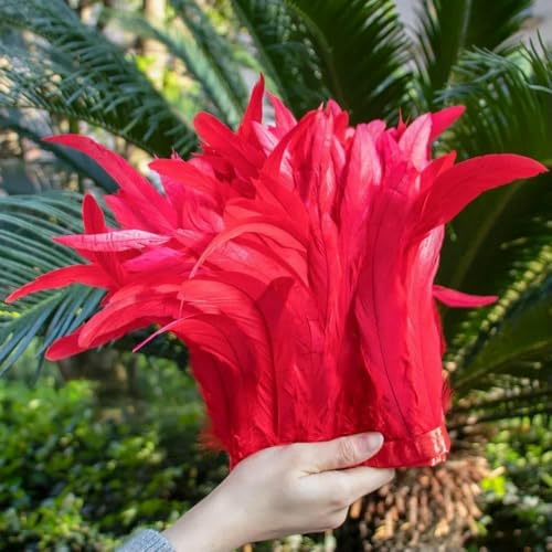 1 Meter orange Hahnenschwanzfedern, 25–30 cm, Coque-Federfransen für Karnevalskleider, Röcke, Kostüme, Federn, Fransenbesatz, Feder-Rot 1 Meter orange Hahnenschwanzfedern, 25–30 cm, Coque-Federfransen für Karnevalskleider, Röcke, Kostüme, Federn, Fransenbesatz, Feder-Rot von HFNCE