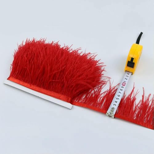 1 Yard Seeblauer Straußenfederbesatz, 8–10 cm, Stoffband für Kleiderärmel, Dekoration, Nähen, DIY, Basteln, Modeaccessoires, Rot, 1 Meter 1 Yard Seeblauer Straußenfederbesatz, 8–10 cm, Stoffband für Kleiderärmel, Dekoration, Nähen, DIY, Basteln, Modeaccessoires, Rot, 1 Meter von HFNCE