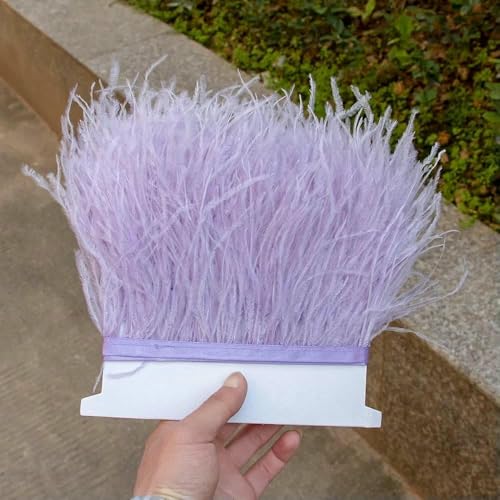 1 m, 5 m, 10 m, schwarz-weiße Straußenfederbesätze, 8–10 cm, natürliche Straußenfedern für Bastelbänder, Fransen, Kleider, Partykleidung, 21–5 m von HFNCE