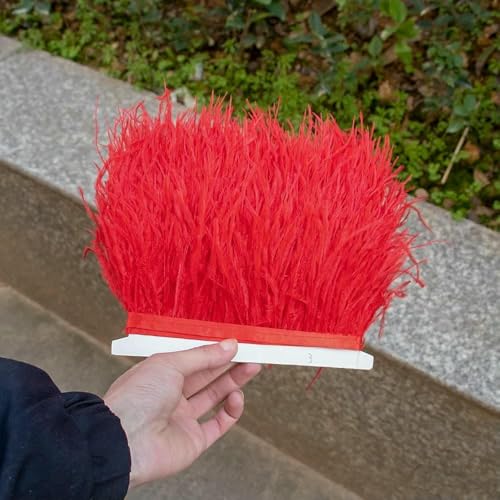 1 m, 5 m, 10 m, schwarz-weiße Straußenfederbesätze, 8–10 cm, natürliche Straußenfedern für Bastelbänder, Fransen, Kleider, Partykleidung, 3–10 m von HFNCE