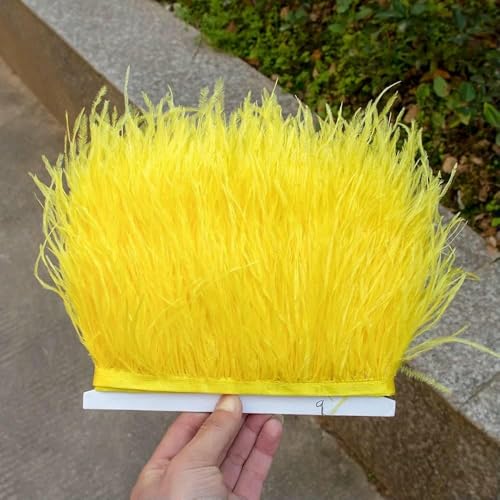 1 m, 5 m, 10 m, schwarz-weiße Straußenfederbesätze, 8–10 cm, natürliche Straußenfedern für Bastelbänder, Fransen, Kleider, Partykleidung, 9–10 m 1 m, 5 m, 10 m, schwarz-weiße Straußenfederbesätze, 8–10 cm, natürliche Straußenfedern für Bastelbänder, Fransen, Kleider, Partykleidung, 9–10 m von HFNCE