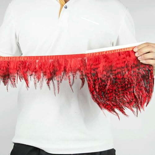 1 m natürliche Hahnensattelfedern, Fransenbesatz, 10,2–15,2 cm, zum Basteln, Karneval, Party, Nähen, Kleidung, Hahnenfedern, Dekoration, Rot, 1 m 1 m natürliche Hahnensattelfedern, Fransenbesatz, 10,2–15,2 cm, zum Basteln, Karneval, Party, Nähen, Kleidung, Hahnenfedern, Dekoration, Rot, 1 m von HFNCE