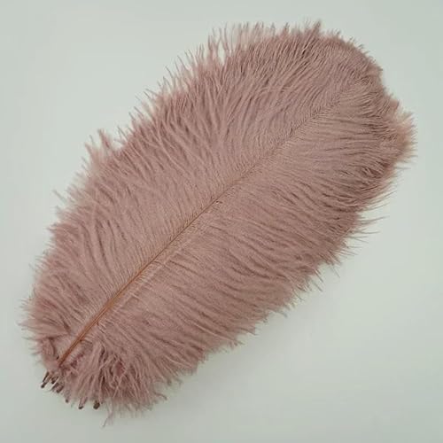 10 Stück/Los Bunte Straußenfedern zum Basteln, Weiß, Schwarz, große Federdekoration, Tischdekoration, Schmuck, Kunsthandwerk, Dekoration, Lederrosa, 25–30 cm, 10–12 Zoll von HFNCE