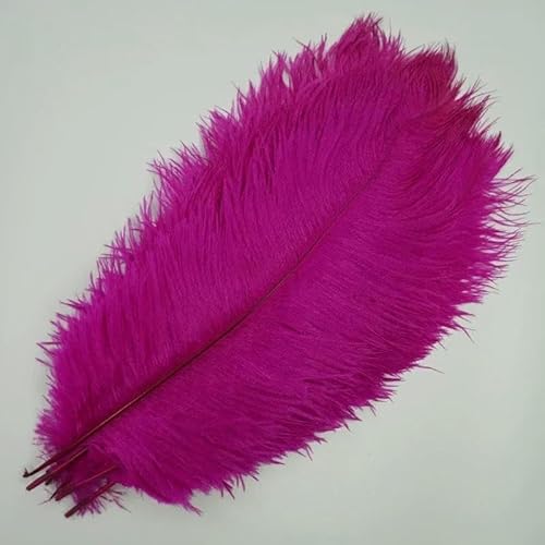 10 Stück/Los Bunte Straußenfedern zum Basteln, Weiß, Schwarz, große Federdekoration, Tischdekoration, Schmuck, Kunsthandwerk, Dekoration, Rose, 50–55 cm, 20–22 Zoll von HFNCE