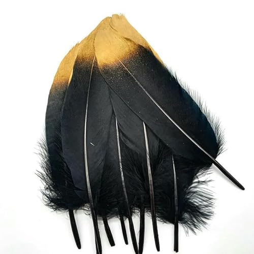 10 Stück/Los Weißgold-Gänsefedern, Federn, DIY-Schmuckherstellung, Hochzeitsfeier, Haardekoration, Bastelzubehör, 15–20 cm, schwarze Federn, 10 Stück von HFNCE