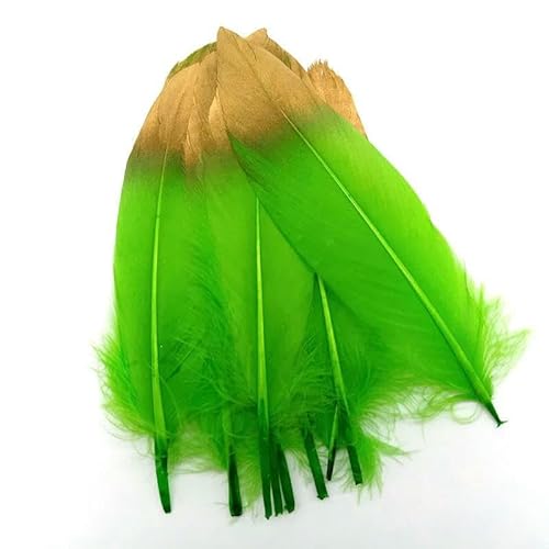 10 Stück/Los Weißgold Gänsefedern Plumas DIY Schmuckherstellung Hochzeit Party Haardekoration Handwerk Zubehör 15–20 cm - Grüne Federn - 10 Stück 10 Stück/Los Weißgold Gänsefedern Plumas DIY Schmuckherstellung Hochzeit Party Haardekoration Handwerk Zubehör 15–20 cm - Grüne Federn - 10 Stück von HFNCE