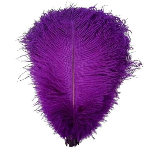 10 Stück harte, natürliche lila Straußenfedern zum Basteln, 15–75 cm, Straußenfeder-Dekoration, Karneval, Hochzeitszubehör, Dekoration, 30 cm bis 35 cm von HFNCE