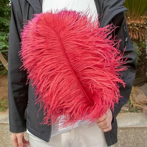 10 Stück rosa Straußenfedern, 15–55 cm, zum Nähen, für Kleider, Basteln, weiße Federn, Hochzeitsvasen, Tischdekoration, Federdekor-Zubehör, Weinrot, 15–20 cm 10 Stück rosa Straußenfedern, 15–55 cm, zum Nähen, für Kleider, Basteln, weiße Federn, Hochzeitsvasen, Tischdekoration, Federdekor-Zubehör, Weinrot, 15–20 cm von HFNCE
