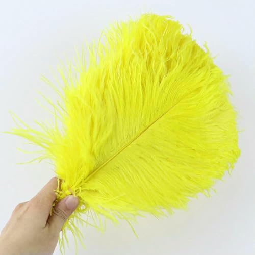 10 Stück weiche natürliche Straußenfedern zum Basteln, farbige Federn, Hochzeitsdekoration, Bastelzubehör, Tischdekoration, Plumas-Gelb 034–30–35 cm, 12–14 Zoll von HFNCE