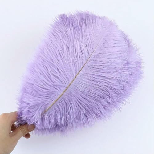 10 Stück weiche natürliche Straußenfedern zum Basteln, farbige Federn, Hochzeitsdekoration, Bastelzubehör, Tischdekoration, Plumas-Hellviolett, 01–30–35 cm, 12–14 Zoll 10 Stück weiche natürliche Straußenfedern zum Basteln, farbige Federn, Hochzeitsdekoration, Bastelzubehör, Tischdekoration, Plumas-Hellviolett, 01–30–35 cm, 12–14 Zoll von HFNCE