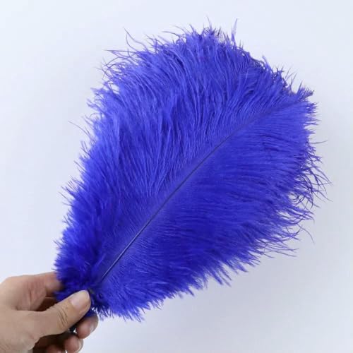 10 Stück weiche natürliche Straußenfedern zum Basteln, farbige Federn, Hochzeitsdekoration, Bastelzubehör, Tischdekoration, Plumas-Königsblau 013–30–35 cm, 12–14 Zoll 10 Stück weiche natürliche Straußenfedern zum Basteln, farbige Federn, Hochzeitsdekoration, Bastelzubehör, Tischdekoration, Plumas-Königsblau 013–30–35 cm, 12–14 Zoll von HFNCE