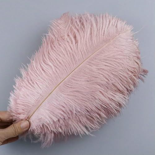 10 Stück weiche natürliche Straußenfedern zum Basteln, farbige Federn, Hochzeitsdekoration, Bastelzubehör, Tischdekoration, Plumas-Leder, Rosa, 011–35–40 cm, 14–16 Zoll 10 Stück weiche natürliche Straußenfedern zum Basteln, farbige Federn, Hochzeitsdekoration, Bastelzubehör, Tischdekoration, Plumas-Leder, Rosa, 011–35–40 cm, 14–16 Zoll von HFNCE