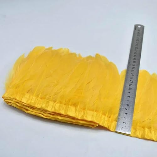 10 m/15–20 cm schwarze Federborte | Partysicherheitszertifiziert für Weihnachtsbäume und Kostüme – Gold – 10 Meter 10 m/15–20 cm schwarze Federborte | Partysicherheitszertifiziert für Weihnachtsbäume und Kostüme – Gold – 10 Meter von HFNCE