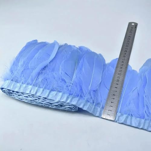 10 m/15–20 cm schwarze Federborte | Partysicherheitszertifiziert für Weihnachtsbäume und Kostüme – Hellblau – 10 Meter 10 m/15–20 cm schwarze Federborte | Partysicherheitszertifiziert für Weihnachtsbäume und Kostüme – Hellblau – 10 Meter von HFNCE