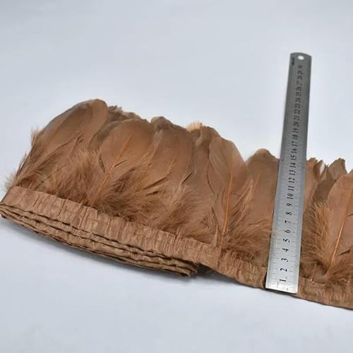 10 m/15–20 cm schwarze Federborte | Partysicherheitszertifiziert für Weihnachtsbäume und Kostüme – braun – 10 Meter 10 m/15–20 cm schwarze Federborte | Partysicherheitszertifiziert für Weihnachtsbäume und Kostüme – braun – 10 Meter von HFNCE