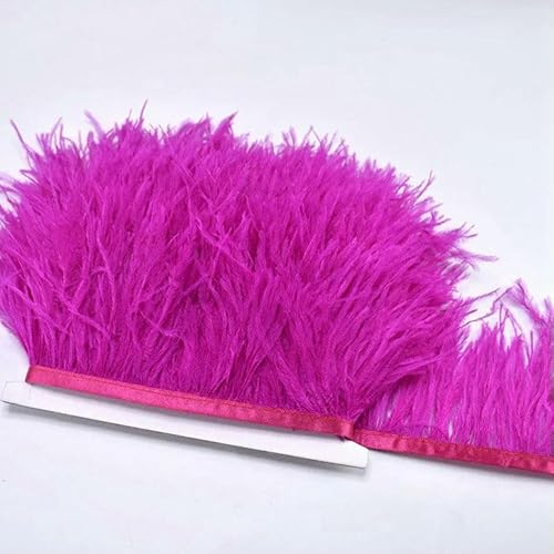 10 m natürliche Straußenfedern, Bortenband, DIY-Bastelarbeiten, weiße Federn, Handarbeit, Nähen, Damentasche, Party, Hochzeitsdekoration, 3–4 Zoll, 4–10 Meter 10 m natürliche Straußenfedern, Bortenband, DIY-Bastelarbeiten, weiße Federn, Handarbeit, Nähen, Damentasche, Party, Hochzeitsdekoration, 3–4 Zoll, 4–10 Meter von HFNCE