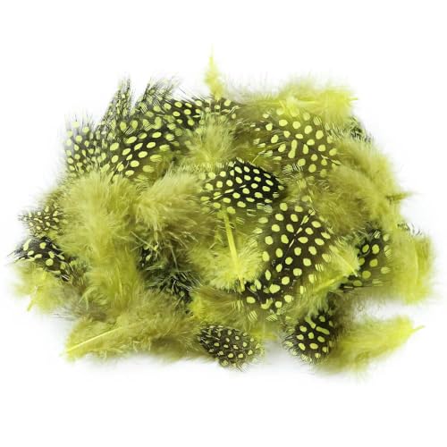 100 Stück/Los Perlhuhnfedern Natürliche Fasanenfedern 5–8 cm Schmuckzubehör Partydekor Federn Handwerk-Feder-gelb-100 STÜCKE von HFNCE