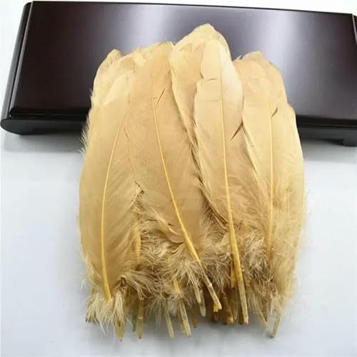 100 Stück/Lot Hard Stick Natürliche Gänsefedern für Handarbeiten Dekorative Bastelfedern Bastelzubehör Farbige Dekoration-Hellbraun 100 Stück/Lot Hard Stick Natürliche Gänsefedern für Handarbeiten Dekorative Bastelfedern Bastelzubehör Farbige Dekoration-Hellbraun von HFNCE