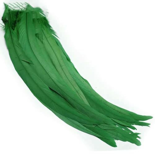 100 Stück 25–45 cm farbige Hahnenfedern, Coque-Feder, Basteln, Kostüm, Fliegenbindematerial, langer Fasan, Karneval, Hochzeitsdekoration, dunkelgrün, 30–35 cm 100 Stück 25–45 cm farbige Hahnenfedern, Coque-Feder, Basteln, Kostüm, Fliegenbindematerial, langer Fasan, Karneval, Hochzeitsdekoration, dunkelgrün, 30–35 cm von HFNCE