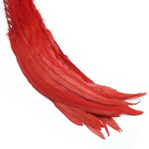 100 Stück 25–45 cm farbige Hahnenfedern, Coque-Feder, Basteln, Kostüm, Fliegenbinden, Material für lange Fasanen, Karneval, Hochzeitsdekoration, rot, 30–35 cm von HFNCE