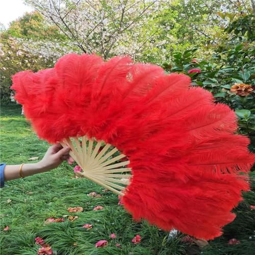 15 Knochen Straußenfeder Fächer Feier Party Hochzeit Tanz Performance Requisiten Dekorative Federn für Handwerk Fan-Rot 15 Knochen Straußenfeder Fächer Feier Party Hochzeit Tanz Performance Requisiten Dekorative Federn für Handwerk Fan-Rot von HFNCE