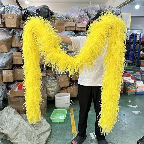 2/3/4/5 Meter gemischte Farben Straußenfederboa 6-lagiger Straußenfederschal zum Nähen von Kleidung Federdekoration Schal-gelb-3,0 m 6-lagig 2/3/4/5 Meter gemischte Farben Straußenfederboa 6-lagiger Straußenfederschal zum Nähen von Kleidung Federdekoration Schal-gelb-3,0 m 6-lagig von HFNCE