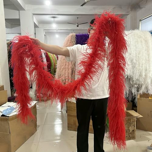 2/3/4/5 Meter gemischte Farben Straußenfederboa 6-lagiger Straußenfederschal zum Nähen von Kleidung Federdekoration Schal-rot-4,0 m 6-lagig 2/3/4/5 Meter gemischte Farben Straußenfederboa 6-lagiger Straußenfederschal zum Nähen von Kleidung Federdekoration Schal-rot-4,0 m 6-lagig von HFNCE
