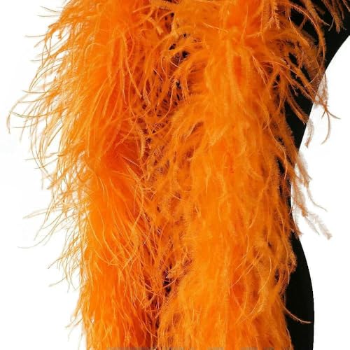 2 Meter weißer Straußenfederboa-Schal, 10/15 Lagen, flauschiger Straußenbesatz, Kostümboa-Federn für Hochzeitskleid-Dekoration, orange, 15-fädig, 2 Meter 2 Meter weißer Straußenfederboa-Schal, 10/15 Lagen, flauschiger Straußenbesatz, Kostümboa-Federn für Hochzeitskleid-Dekoration, orange, 15-fädig, 2 Meter von HFNCE