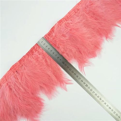 2 Yards/Lot Natürliche Federfransenbesatz, farbig, flauschig, DIY, Truthahnfedern, Kleiderzubehör, Plumas-Fransen für Kleidung, Wassermelonenrot 2 Yards/Lot Natürliche Federfransenbesatz, farbig, flauschig, DIY, Truthahnfedern, Kleiderzubehör, Plumas-Fransen für Kleidung, Wassermelonenrot von HFNCE