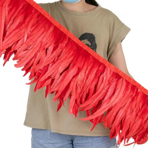 2 Yards bunte Hahnenschwanzfederbesatz auf Band 25–30 cm/10–12 Zoll für Heimwerker, Basteln, Nähen, Karnevalsdekor, Plumas-Dekoration, Rot, 1 Yards 2 Yards bunte Hahnenschwanzfederbesatz auf Band 25–30 cm/10–12 Zoll für Heimwerker, Basteln, Nähen, Karnevalsdekor, Plumas-Dekoration, Rot, 1 Yards von HFNCE