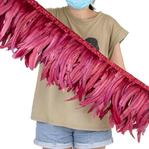 2 Yards bunte Hahnenschwanzfederbesatz auf Band 25–30 cm/10–12 Zoll für Heimwerker, Basteln, Nähen, Karnevalsdekor, Plumas-Dekoration-Rotwein-2 Yards von HFNCE