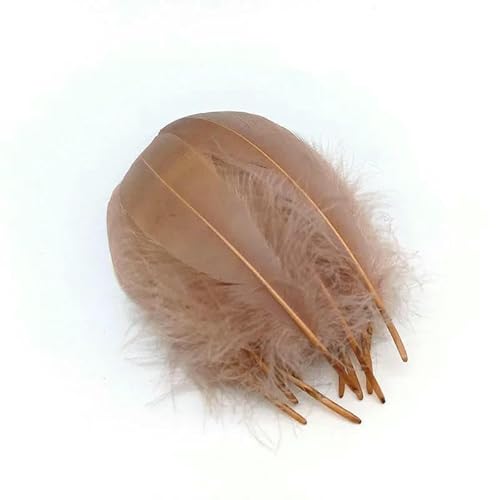 20–100 Stück natürliche Gänsefedern, bunter Schwan zum Basteln, Weihnachten, Hochzeit, Schmuck, Heimdekoration, Federn, Zubehör, 13–18 cm, hellbraune Federn, 100 Stück 20–100 Stück natürliche Gänsefedern, bunter Schwan zum Basteln, Weihnachten, Hochzeit, Schmuck, Heimdekoration, Federn, Zubehör, 13–18 cm, hellbraune Federn, 100 Stück von HFNCE