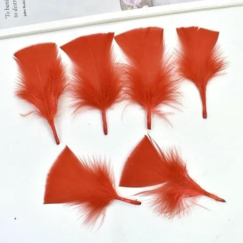 20 Stück bunte Truthahnfedern zum Basteln, 5–10 cm, weiß, schwarz, Fasanenfedern, Schmuckherstellung, Karnevals-Handwerkszubehör, Federn, rot, 5–10 cm, 2–4 Zoll 20 Stück bunte Truthahnfedern zum Basteln, 5–10 cm, weiß, schwarz, Fasanenfedern, Schmuckherstellung, Karnevals-Handwerkszubehör, Federn, rot, 5–10 cm, 2–4 Zoll von HFNCE