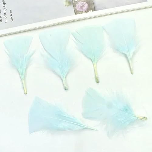 20 Stück bunte Truthahnfedern zum Basteln, 5–10 cm, weiß-schwarze Fasanenfedern, Schmuckherstellung, Karnevals-Handwerkszubehör, Federn, Hellblau, 5–10 cm, 2–4 Zoll 20 Stück bunte Truthahnfedern zum Basteln, 5–10 cm, weiß-schwarze Fasanenfedern, Schmuckherstellung, Karnevals-Handwerkszubehör, Federn, Hellblau, 5–10 cm, 2–4 Zoll von HFNCE