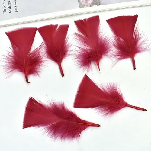 20 Stück bunte Truthahnfedern zum Basteln, 5–10 cm, weiß-schwarze Fasanenfedern, Schmuckherstellung, Karnevals-Handwerkszubehör, Federn, weinrot, 5–10 cm, 2–4 Zoll 20 Stück bunte Truthahnfedern zum Basteln, 5–10 cm, weiß-schwarze Fasanenfedern, Schmuckherstellung, Karnevals-Handwerkszubehör, Federn, weinrot, 5–10 cm, 2–4 Zoll von HFNCE