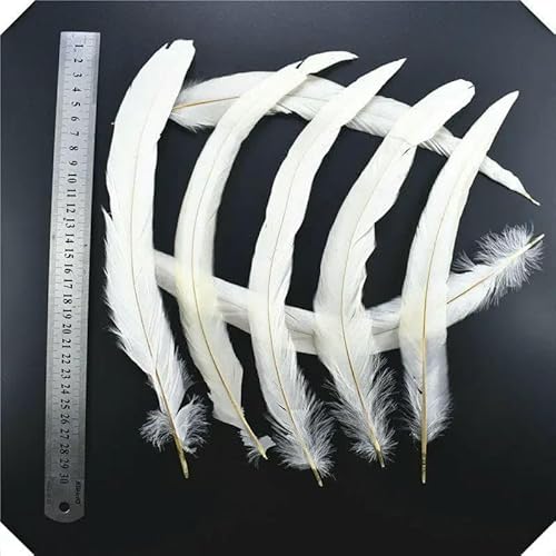 20 Stück weiße Hahnfasanenfedern, DIY Strauß/Truthahn/Huhn, Pluma, Traumfänger, Handarbeiten, Zubehör, Dekoration, Hochzeit, 25–30 cm 20 Stück weiße Hahnfasanenfedern, DIY Strauß/Truthahn/Huhn, Pluma, Traumfänger, Handarbeiten, Zubehör, Dekoration, Hochzeit, 25–30 cm von HFNCE