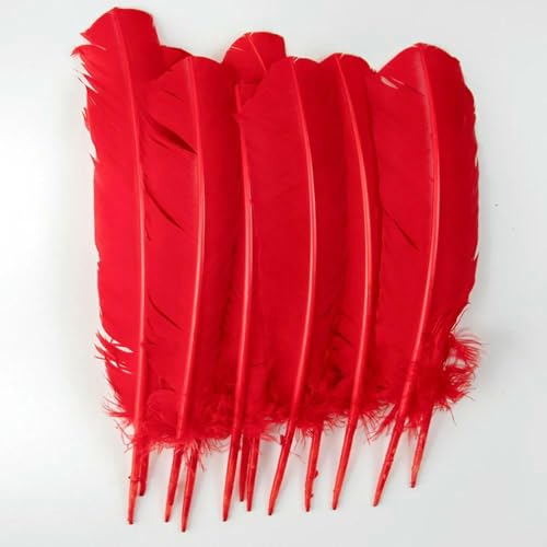 25–35 cm natürliche Truthahnfeder, Großhandel, bunte Hühnerfeder für Heimwerker, Basteln, Hochzeit, Party, Kopfbedeckung, Dekoration, Zubehör, Rot, 10 Stück 25–35 cm natürliche Truthahnfeder, Großhandel, bunte Hühnerfeder für Heimwerker, Basteln, Hochzeit, Party, Kopfbedeckung, Dekoration, Zubehör, Rot, 10 Stück von HFNCE