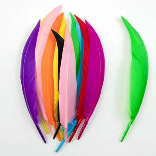 4-6 Zoll lange Gänsefedern, 50 Stück/Lot, Gänsefedern für Kunsthandwerk, Schmuckdekorationen, Schwanenfedern, Großhandel, Mix, 100 Stück von HFNCE