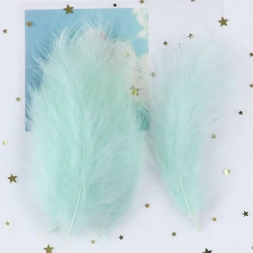 4-6 Zoll natürliche Truthahnfedern, flauschig für Dekoration, Haar, kreative Freizeit, DIY, Bastelbedarf, Federn, Plumas, Dekor, 05, 1000 Stück von HFNCE