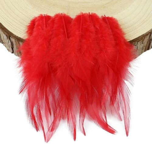 50/100 Stück Hahnenfedern, natürliche Hühnerfedern zum Basteln, DIY-Schmuckzubehör, Traumfänger, Dekorationsfedern, 8–12 cm, Rot, 50 Stück 50/100 Stück Hahnenfedern, natürliche Hühnerfedern zum Basteln, DIY-Schmuckzubehör, Traumfänger, Dekorationsfedern, 8–12 cm, Rot, 50 Stück von HFNCE