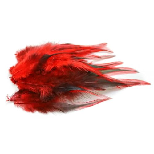50/100 Stück natürliche Fasanenfedern für Heimwerker, Hahnenfedern, Schmuck, Ohrringe, Dekoration, Zubehör, Federn, 8–15 cm, Rot, 50 Stück 50/100 Stück natürliche Fasanenfedern für Heimwerker, Hahnenfedern, Schmuck, Ohrringe, Dekoration, Zubehör, Federn, 8–15 cm, Rot, 50 Stück von HFNCE