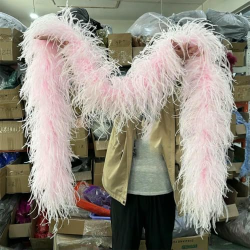 6 8 10-lagige rosarote Straußenfeder-Boas, 1 m, 2 m, flauschiger Federboa-Schal für Partykleid, Rock, Kleidung, Dekor, Federschal, Hellrosa, 2 m, 6-lagig 6 8 10-lagige rosarote Straußenfeder-Boas, 1 m, 2 m, flauschiger Federboa-Schal für Partykleid, Rock, Kleidung, Dekor, Federschal, Hellrosa, 2 m, 6-lagig von HFNCE