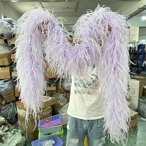 6 8 10-lagige rosarote Straußenfeder-Boas, 1 m, 2 m, flauschiger Federboa-Schal für Partykleid, Rock, Kleidung, Dekor, Federschal, Hellviolett, 2 m, 6-lagig 6 8 10-lagige rosarote Straußenfeder-Boas, 1 m, 2 m, flauschiger Federboa-Schal für Partykleid, Rock, Kleidung, Dekor, Federschal, Hellviolett, 2 m, 6-lagig von HFNCE