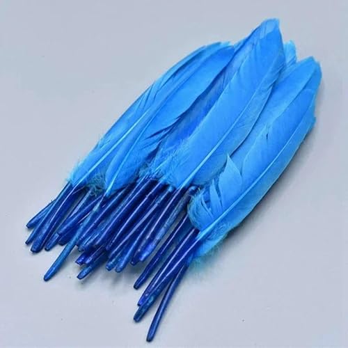 Entenfedern zum Basteln, Bastelzubehör, Ohrringe, Federn, weiße Gänsefedern, Dekoration, Schmuckherstellung, Dekoration, Blau, 100 Stück Entenfedern zum Basteln, Bastelzubehör, Ohrringe, Federn, weiße Gänsefedern, Dekoration, Schmuckherstellung, Dekoration, Blau, 100 Stück von HFNCE