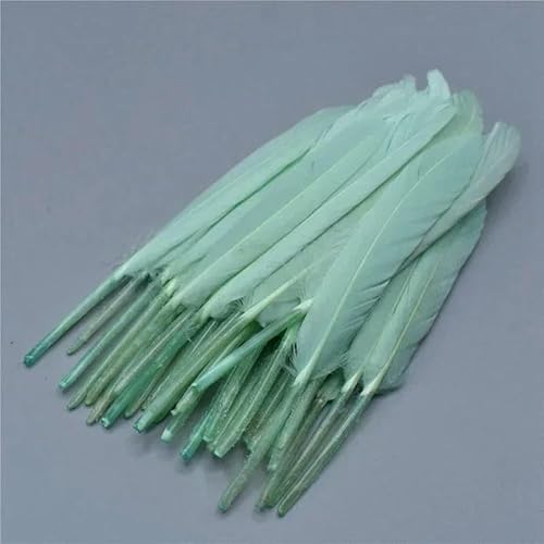 Entenfedern zum Basteln, Bastelzubehör, Ohrringe, Federn, weiße Gänsefedern, Dekoration, Schmuckherstellung, Dekoration, Pfefferminzgrün, 20 Stück Entenfedern zum Basteln, Bastelzubehör, Ohrringe, Federn, weiße Gänsefedern, Dekoration, Schmuckherstellung, Dekoration, Pfefferminzgrün, 20 Stück von HFNCE