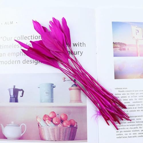 Farbige Gänsefedern, natürliche Federn für Hochzeit, Karneval, Dekoration, Schmuckherstellung, DIY, Wohnaccessoires, Federn, 13–18 cm, Rosarot, 50 Stück Farbige Gänsefedern, natürliche Federn für Hochzeit, Karneval, Dekoration, Schmuckherstellung, DIY, Wohnaccessoires, Federn, 13–18 cm, Rosarot, 50 Stück von HFNCE